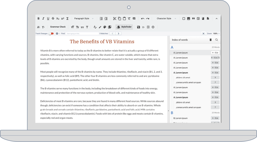 laptop with indexis screen