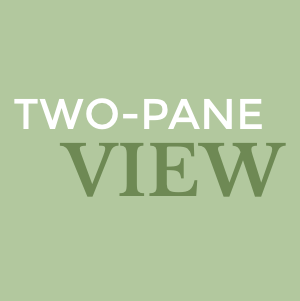 two pane view flip
